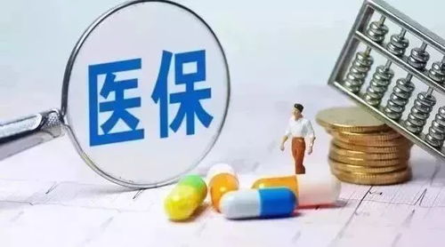 2019年度薛城区城乡居民医疗保险缴费通知